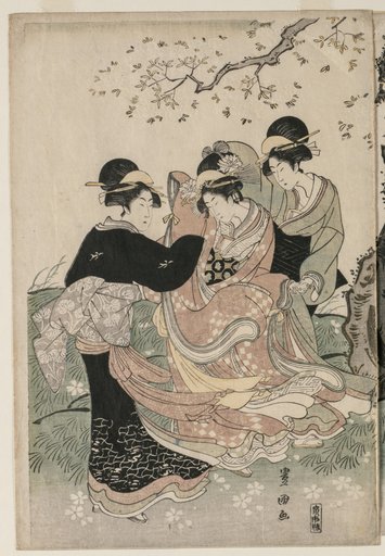 Cherry Blossoms in the Wind