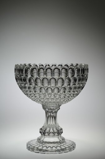 Argus Compote