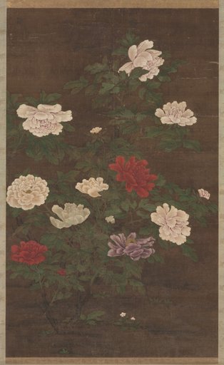 Peonies