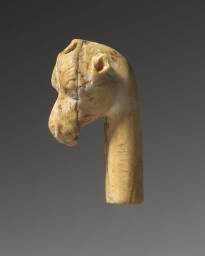 Giraffe Head