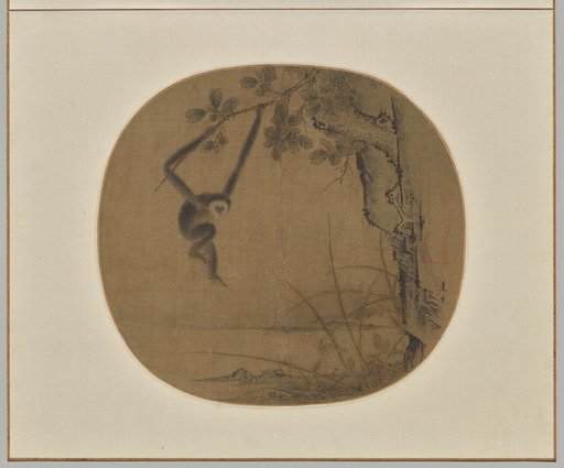 Swinging Gibbon
