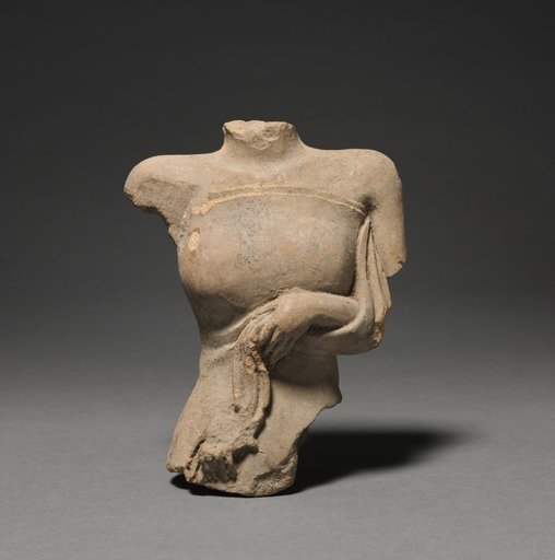 Female Torso