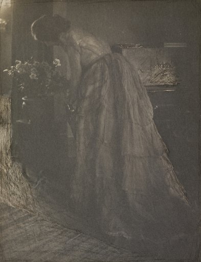 The Azalea Plant (Julia Hall McCune)