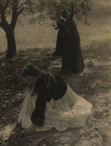 The Orchard