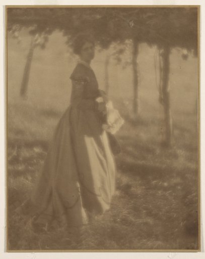 In the Arbor
