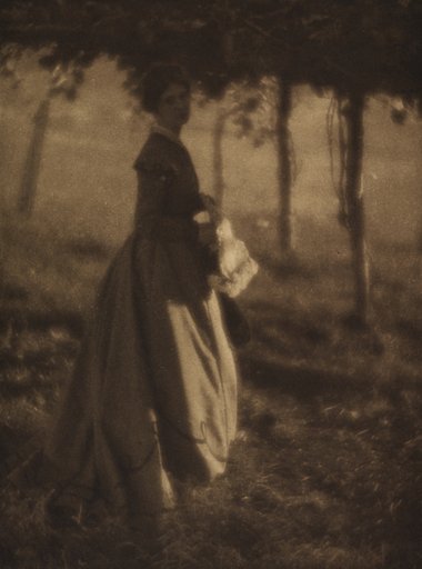 The Arbor