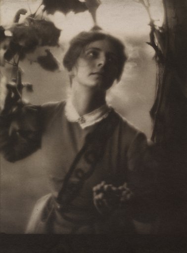 The Arbor (Julia Hall McCune)