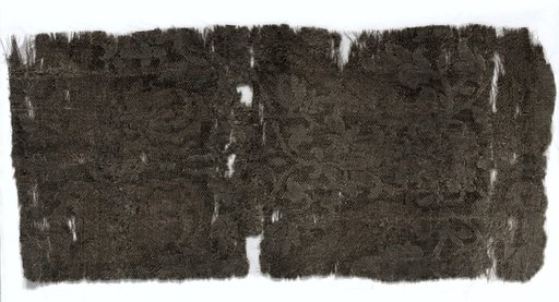 Silk Fragment