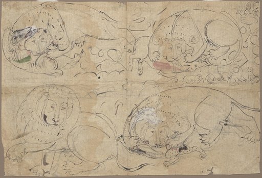 Studies of a Lion Killing Prey