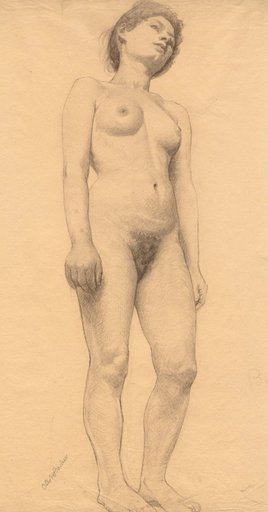 Standing Female Nude