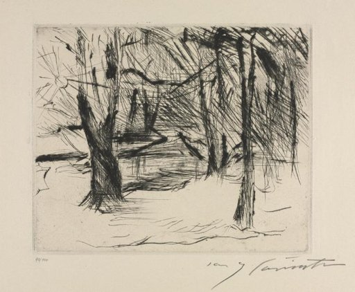 Der Tiergarten: Trees with Sun