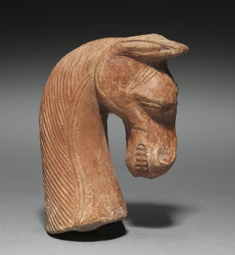 Horse Head