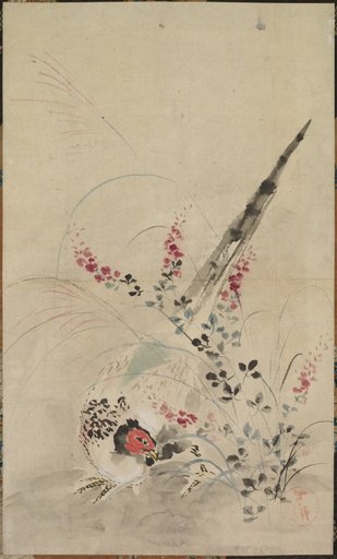 Pheasant and Grasses