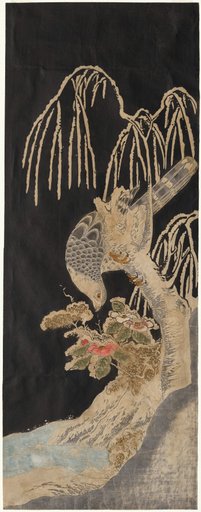 Falcon on a Willow