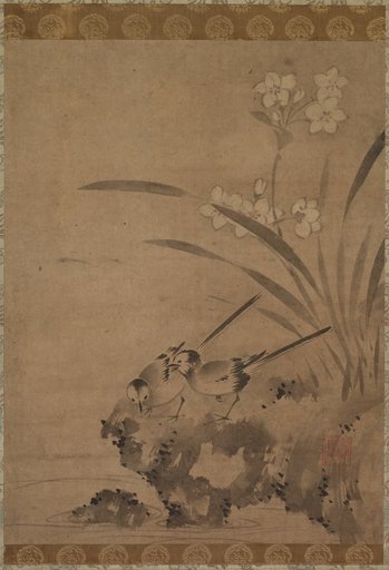 Wagtails and Narcissus
