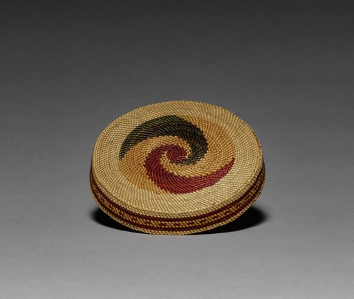 Cover for a Bowl