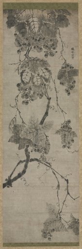 Grapes