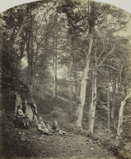 A Path Through a Wood