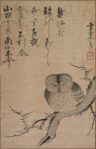 Owl