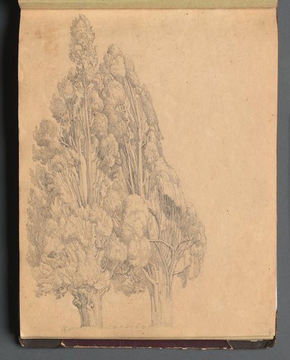 Album with Views of Rome and Surroundings, Landscape Studies, page 13a: Trees