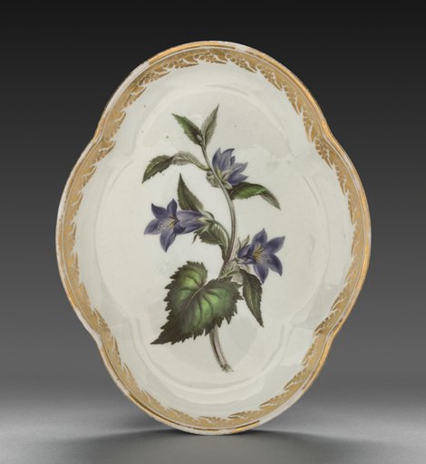 Quatrelobed Dish from Dessert Service: Nettle-leaved Bell Flower