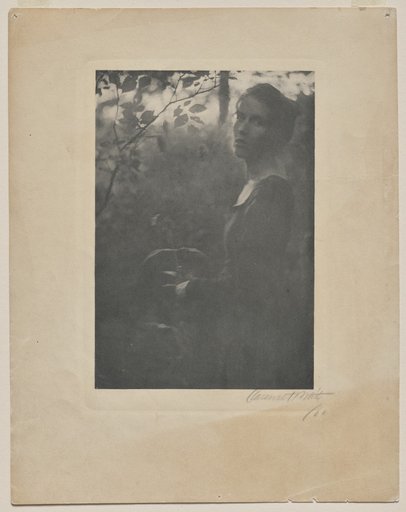 The Edge of the Wood - Evening (Letitia Felix)