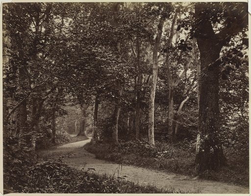 Untitled (Landscape)