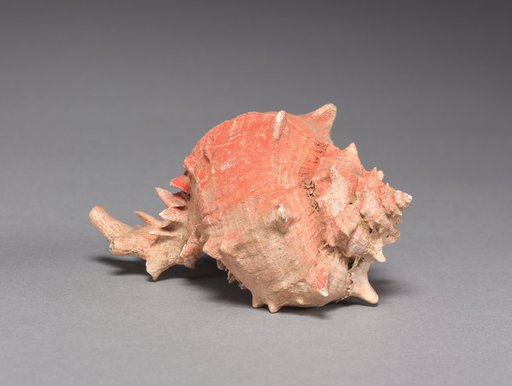 Offering Group: Large Shell