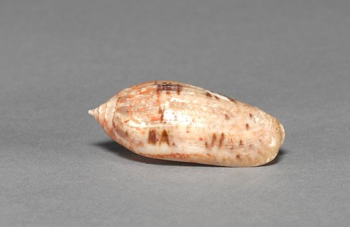 Offering Group: Small Shell
