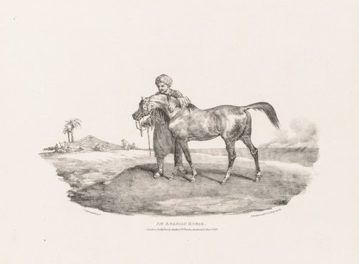 Various Subjects Drawn from Life and on Stone: An Arabian Horse
