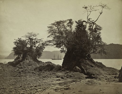 Islands in Limón Bay