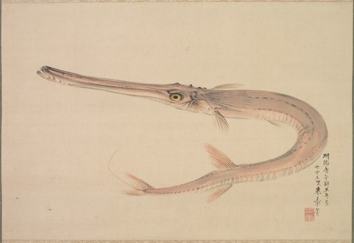 Needlefish (Yagara)