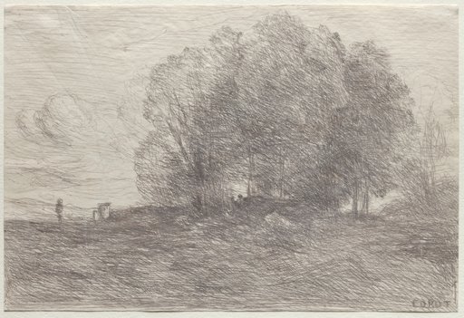 Group of Trees