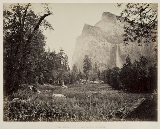 Bridal Veil, Yosemite
