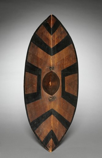 Shield