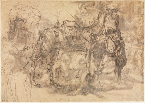 Sketches of Animals (verso)