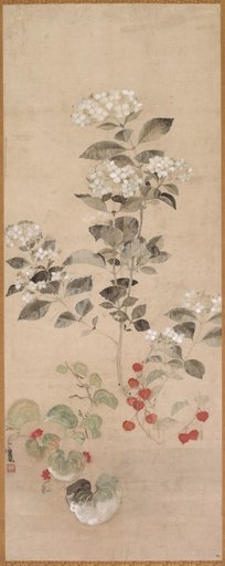 Summer Flowers