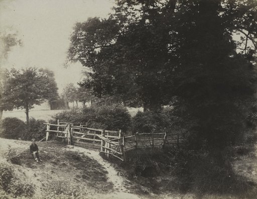 Green Meadows