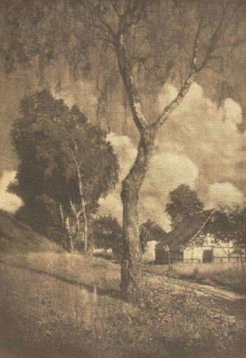 Camera Work: Pomeranian Motif