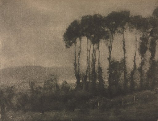 Camera Work: Toucques Valley