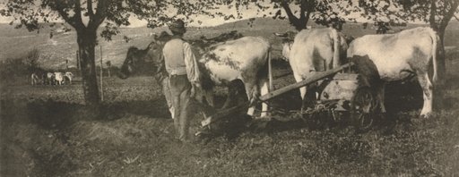 Camera Work: Ploughing Team