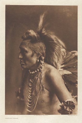 Portfolio VI, Plate 194: Gambler--Piegan