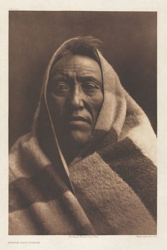 Portfolio VI, Plate 202: Middle Calf - Piegan