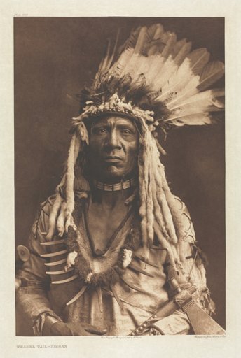 Portfolio VI, Plate 203: Weasel Tail - Piegan
