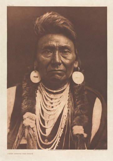 Portfolio VIII, Plates 256- 292