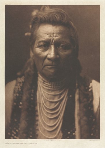 Portfolio VIII, Plate 267: Piópio-Maksmaks - Wallawalla