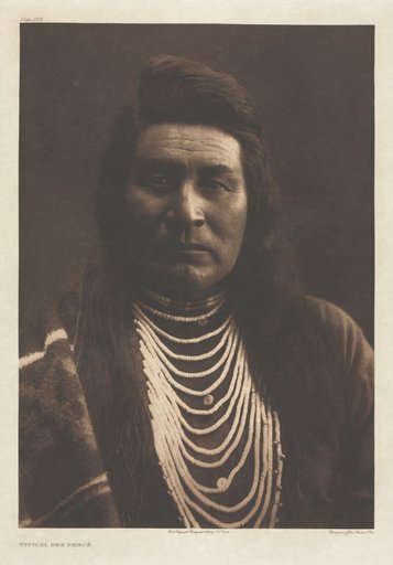 Portfolio VIII, Plate 258: Typical Nez Percé