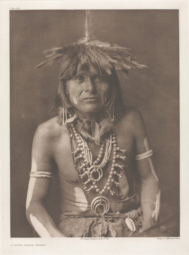 Portfolio XII, Plate 429: A Walpi Snake Priest