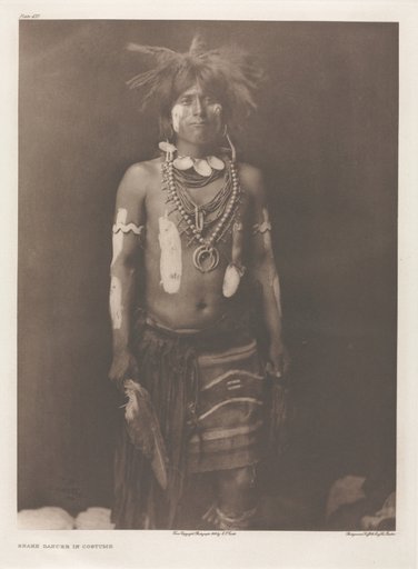 Portfolio XII, Plate 430: Snake Dancer in Costume