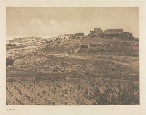 Portfolio XVI, Plate 574: Paguate